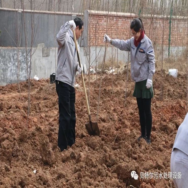貝特環保開展“積極參加義務植樹,建設美麗貝特環?!被顒? onmousewheel=