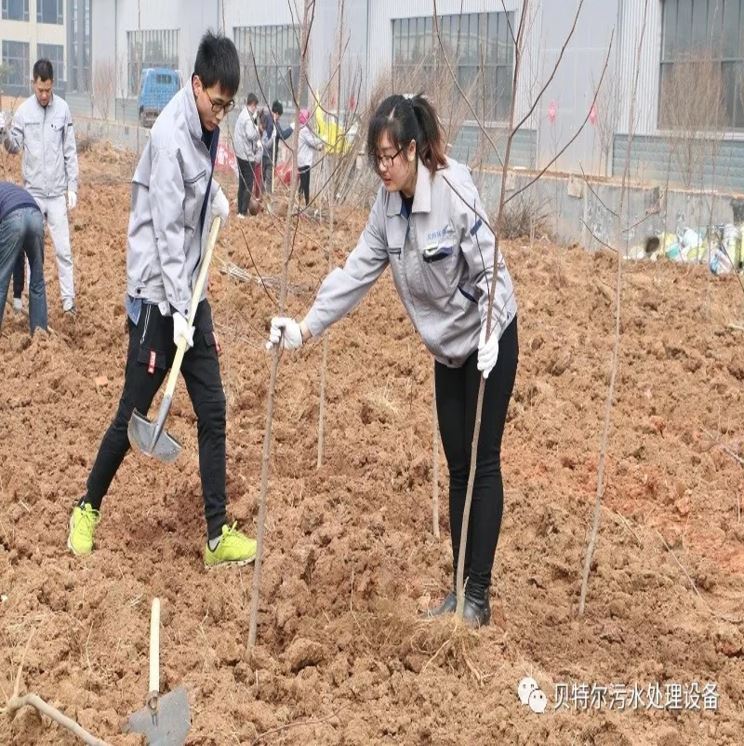 貝特環保開展“積極參加義務植樹,建設美麗貝特環?!被顒? onmousewheel=